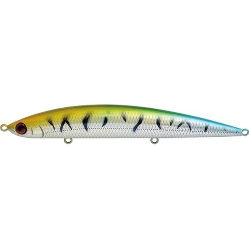 アスリート 12SSP アスリート 12SSP WHE ヒラメノエサ