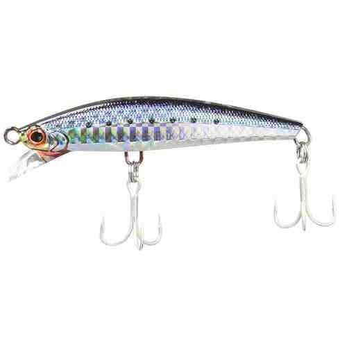 ピンテールサゴシチューン 20g ジャクソン サゴシチューン 20g SRI アカハライワシ ヘビーシンキングミノ