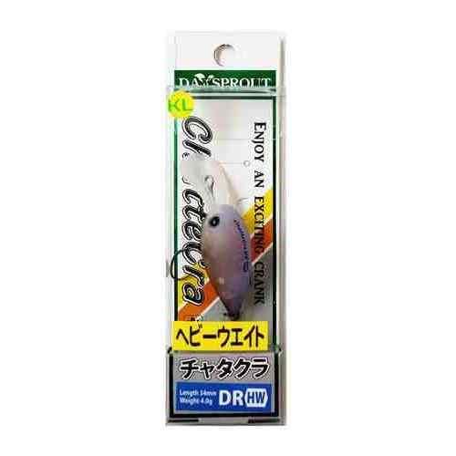 DAYSPROUT ディスプラウト チャタクラDR-HW C-20ベリーブルーチョコ