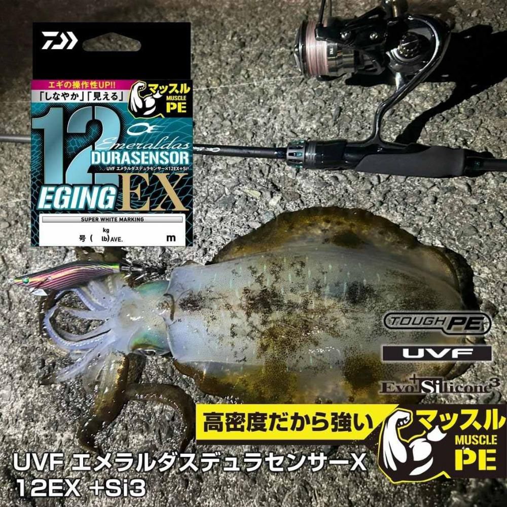 楽天市場】ダイワ uvf ソルティガセンサー 12ブレイドex＋si 200m 1号