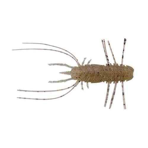 Jackall Wam Wam Flare 60 Gasa Gasa Stripe Shrimp