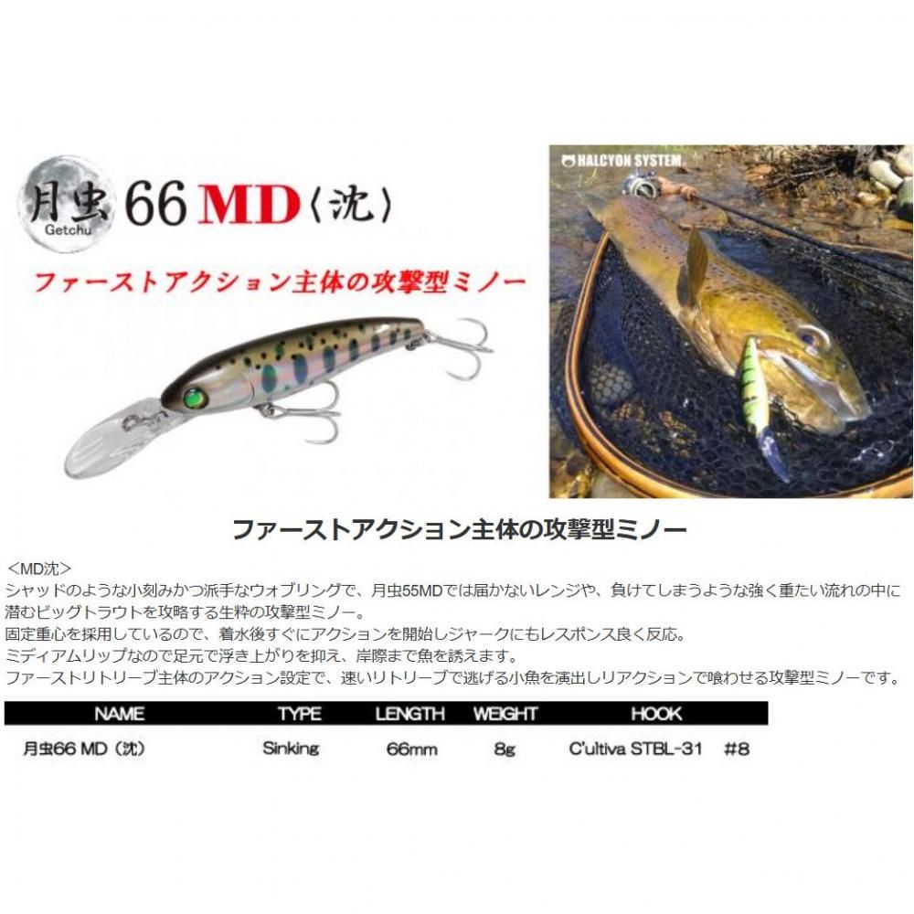楽天市場】月虫66mdの通販