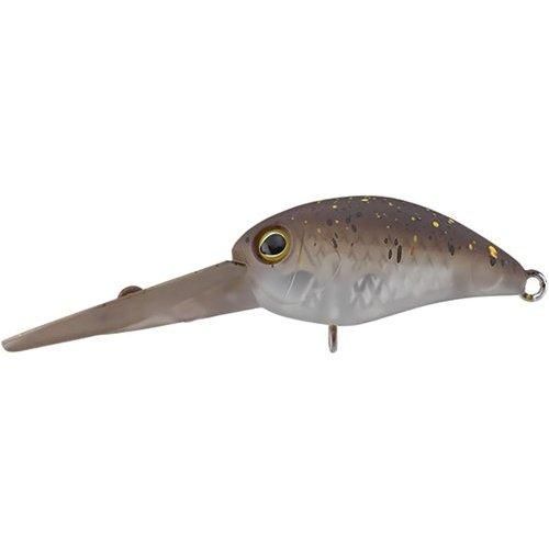 Timon Panicla DDR End Glow Pere Brown