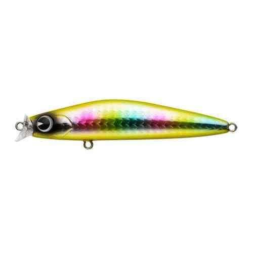 Ima Kosuke 85F #KK85-011 Gold Candy