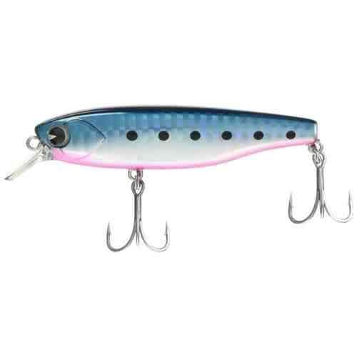Ima K-Tai 77 Suspend KT77-008 Mako Iwashi