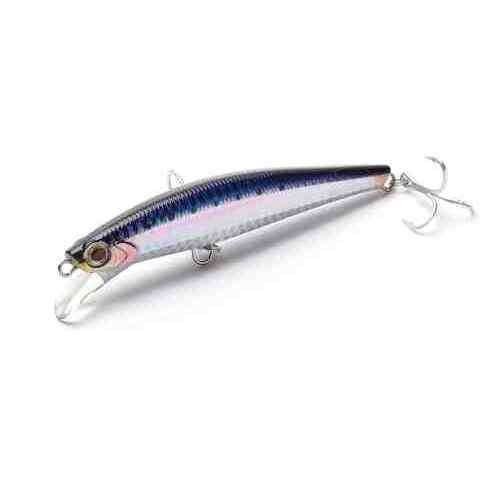 ピンテールサワラチューン 35g SNI 新鮮イワシ