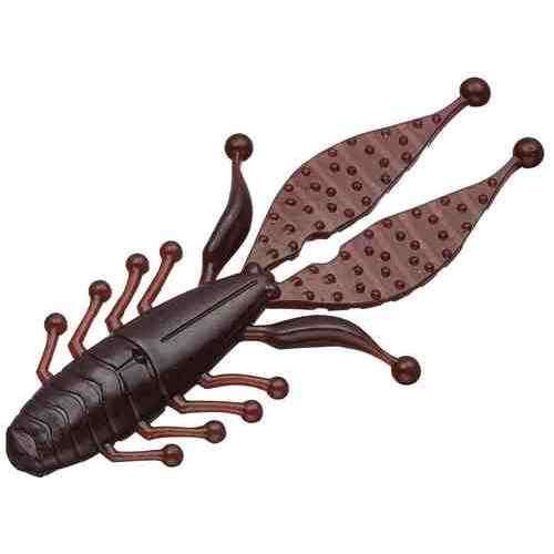 EVERGREEN ���С����꡼�� ���å����Х�3.3�ե��åȥ٥��ӡ� #11 �����åѥΥ�