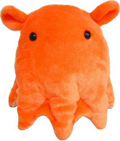 ＼期間限定P2倍最大2000円offクーポン／ぬいぐるみ 深海生物 メンダコ S 高さ15cm 新品 *