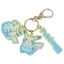 ポケットモンスター アクリルキーホルダー ポケモン キーリング キャラクター グラデーション BL ぬいぐるみ グッズ おもちゃ *即納(3)