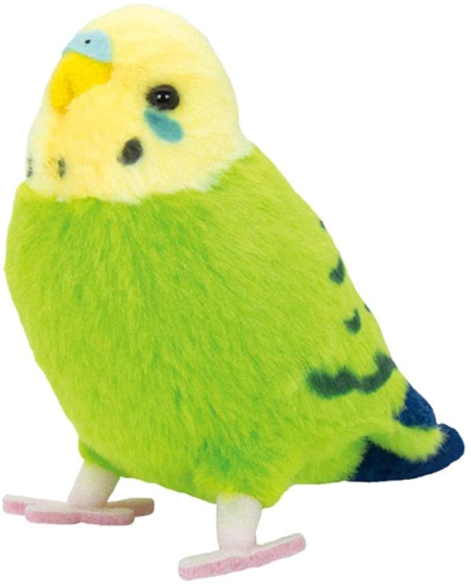 ことりのね セキセイインコ グリーン 約13cmどうぶつ 動物 アニマル