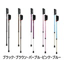 シナノ ウォーキングポール あんしん2本杖 登山