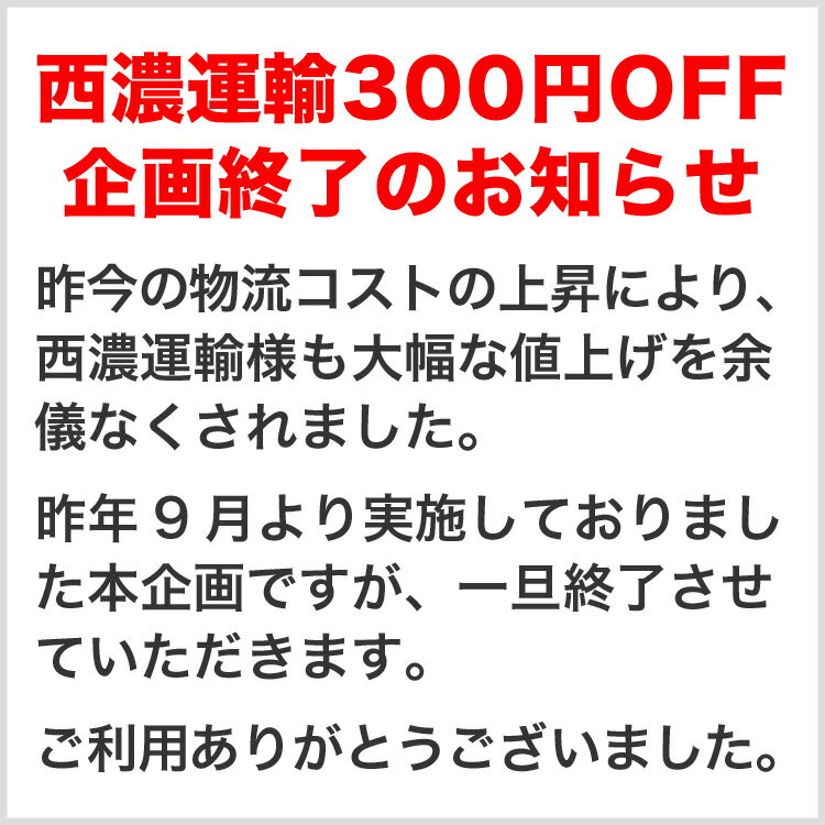 HOYAシンプルワン240ml×6本＋ピュアクリーナH付×2本【ハード用】【コンタクトケア】【送料無料】【あす楽対応】ksapo【smtb-s】【RCP】【P01Jul16】