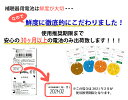 hochouki-lab:10000026のサンプル画像2