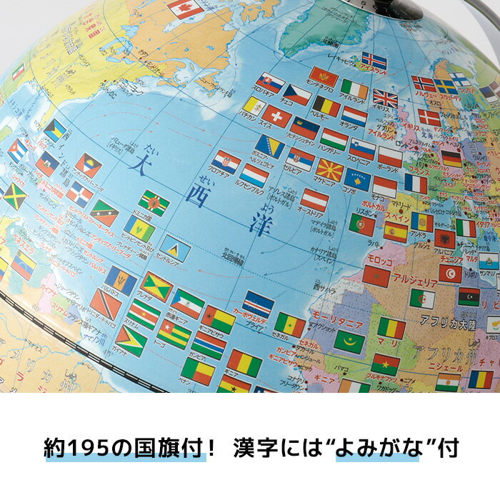 SPC平底なす形フラスコ 100mL 【035120-24100】
