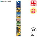★【送料無料】 ショウワノート えんぴつセット アニメポケットモンスター 新入学 新学期 進級 入学準備 入園準備(3)