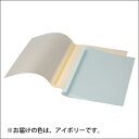アコ・ブランズ 熱製本用カバー 表紙カバー10枚入(表紙:透明クリアシート、裏表紙:紙)(アイボリー) 【TCW00A4R】