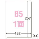 エーワン　ラベルシール〈プリンタ兼用〉　マット紙　ノーカットタイプ　規格：B5判1面 