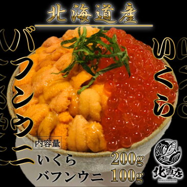 【蝦夷バフンウニ100g×いくら200g】北海道産　蝦夷バフンウニ（塩水ウニ100g）うに　ウニ　ばふんうに　バフンウニ 北海道産いくら200g　いくら　イクラ グルメ 食品 寿司 贈り物 海鮮丼 贈答　うに北海道産 うに丼　海鮮 お中元　ギフト フードロス コロナ応援