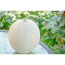 夏ギフト北海道 お中元北海道 夏限定ギフト 【夕張メロン 良品 大玉2玉 4kg前後】良品 メロン2玉 北海道 メロン めろん ユウバリメロン ・夏ギフト 赤肉メロン 暑中見舞い 贈り物 お返し 贅沢品 ギフト 北海道海鮮 高品質 海鮮専門店