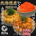【北海道産ウニ2色×いくら250gセット】蝦夷バフンウニ100g ムラサキウニ100g いくら250g バフンウニ 生キタムラサキウニ(塩水ウニ100g×2)う...