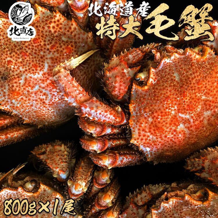 【最大5,000円OFF】【北海道産毛蟹800g】最高ランクの...