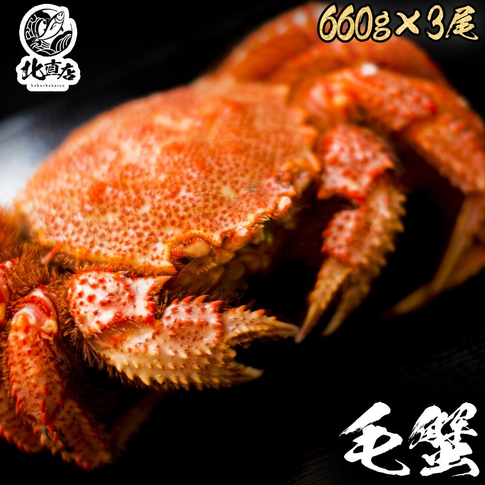 御中元 夏ギフト ギフト【ロシア産毛蟹660g×3】送料無料 驚く大きさ！最高ランクの堅蟹をボイルし急速冷凍！極上毛ガニ！ ギフト 特大 毛ガニ 660g 3尾セット ロシア産 特大 ボイル かに カニ 蟹 けがに カニ味噌