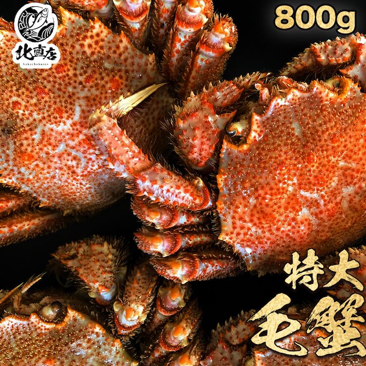御中元 夏ギフト ギフト【ロシア産毛蟹800g】最高ランクの堅蟹をボイルし急速冷凍！極上毛ガニ！　 ギフト 特大 毛ガニ 1尾で圧巻の800g ロシア産 特大 ボイル かに カニ 蟹 けがに カニ味噌