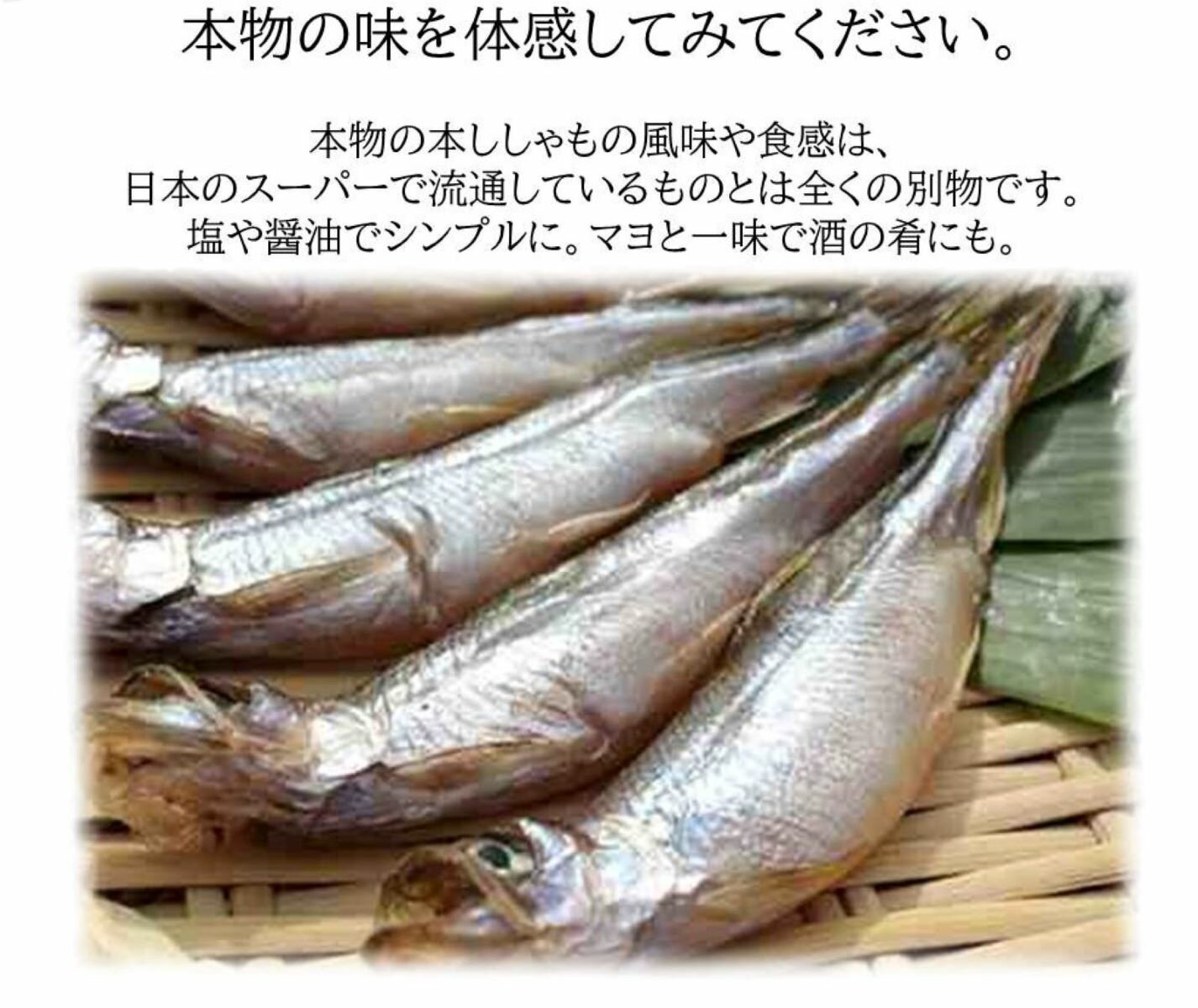 【本ししゃもメス30尾】 大容量 お弁当 おかず 簡単 同梱 セット 本ししゃも ししゃも シシャモ 本シシャモ 北海道産　30尾 ギフト　北海道高品質海産物・海鮮専門店