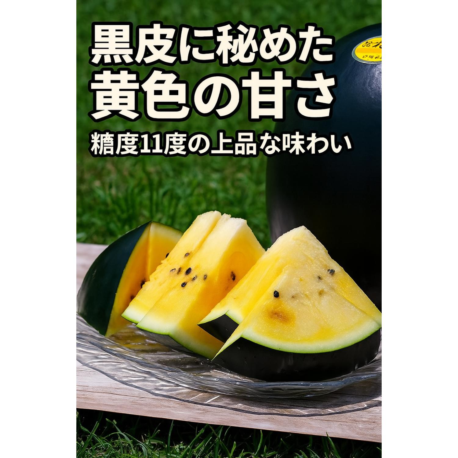 お歳暮 冬ギフト 年末ギフト お年賀 海鮮【おつきさまスイカ秀優品】黒皮×黄色果肉の大玉西瓜｜上品な..