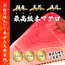 【最高級 本マグロ(クロマグロ)訳あり】天然・国産・北海道産 黒い海のダイヤ 刺身用 大トロ・中トロ・赤身 贅沢三昧 本物の鮪 ギフト・お取り寄せにも最適 瞬間...