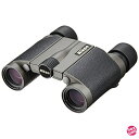 Nikon 双眼鏡 HG Lシリーズ 8×20HG L DCF ダハプリズム式 8倍20口径 8X20HGL (日本製)