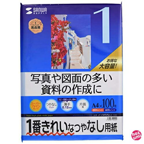 サンワサプライ インクジェット用紙 A4 100枚 JP-EM5NA4-100