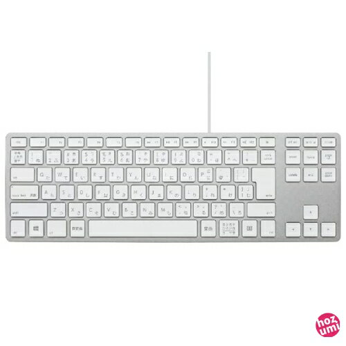 FILCO Matias Wired Aluminum Tenkeyless keyboard for PC Silver USB2.0ハブ×2搭載 日本語配列かなあり テンキーレス パンタグラフ式アルミ筐体キーボード シルバー