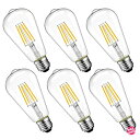 LVWIT ST64 LED電球 エジソンランプ E26口金 40W形相当 470LM 2700K電球色 フィラメント 電球 クラシック 雰囲気 レトロ電球 調光器非対応 6個入
