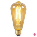 DiCUNO LED電球 E26口金 60W形相当 電球色 エジソン電球 6W 600lm 2700K フィラメント電球 茶色 レトロ 広配光 ST64 調光器非対応 1個入