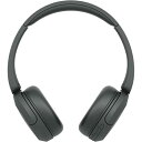 ソニー(SONY) ワイヤレスヘッドホン WH-CH520:Bluetooth対応/軽量設計 約147g/専用アプリ対応により好みの音質にカスタマイズできる「イ...