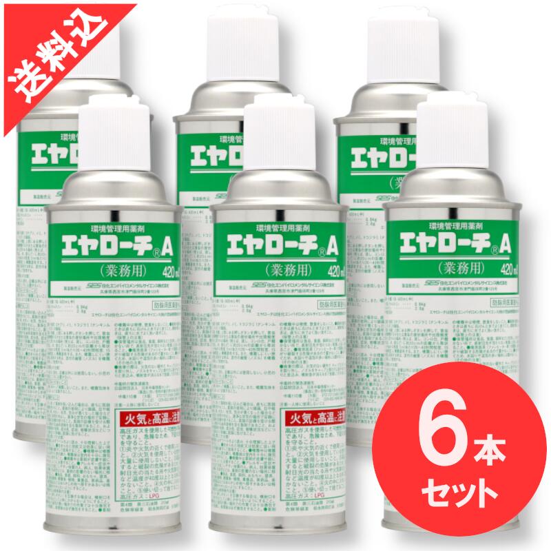 エヤローチA 420ml×6本セット ゴキブリ駆除 業務用スプレー殺虫剤 トコジラミ ゴキブリなど