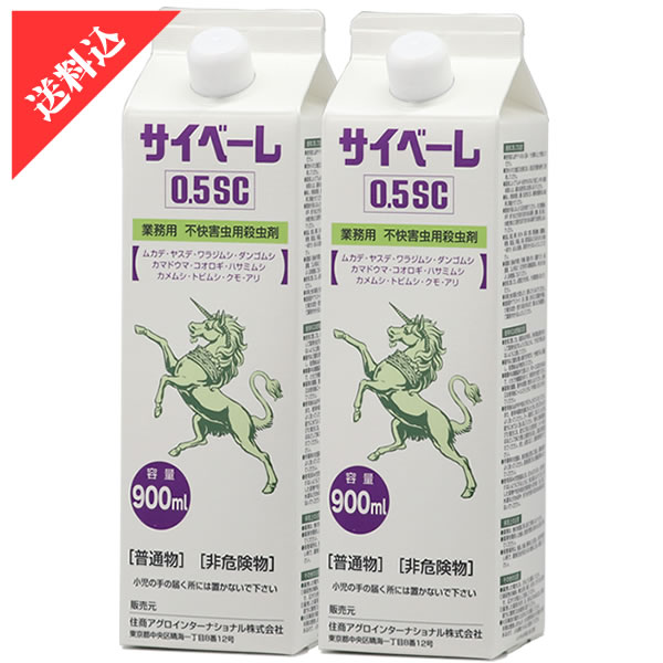  ५ 䥹Ƕ ١ 0.5SC 900ml2ܥå ५ 䥹 ॷѻ     ͽ к ץ졼 ʮ̸