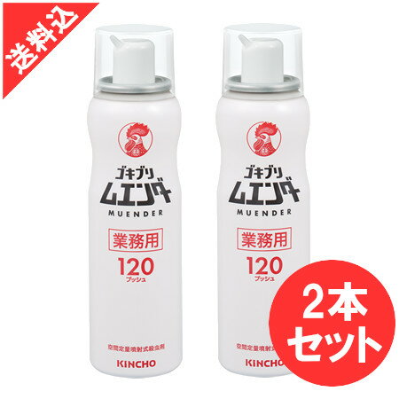 あす楽 ゴキブリ駆除 業務用ゴキブリムエンダー ×2本セット 120プッシュ ゴキブリ駆除剤 金鳥 殺虫剤 飲食店 厨房 レストラン 簡単 おすすめ 1