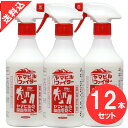 あす楽 ヤマビル駆除 ヤマビルファイター 500ml×12本セット イカリ消毒 効果 液体 林野作業 アウトドア キャンプ 登山 吸血 対策