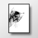 【送料無料】 覗いてる猫 子猫 猫 猫好き 動物 アートポスター A2 かわいい おしゃれ 北欧 シンプル モノクロ 絵 雑貨 アートプリント ポスター デザイン インテリア アート Kitten Cat