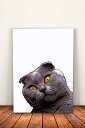 【送料無料】 猫 ネコ ねこ 動物 アートパネル A2 おしゃれ シンプル かっこいい かわいい 北欧 絵 スコティッシュフォールド モノクロ 雑貨 アートプリ...