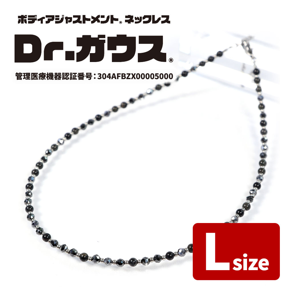 Dr.ガウス Lサイズ