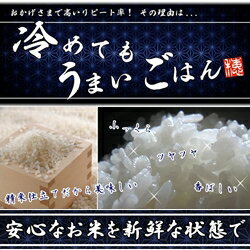 【新米】令和2年産/1等米 南会津産こしひかり白米24kg 【特A産地】【送料無料】 ☆有名米どころ会津の一等米！【産地直送福島県産会津米】【smtb-TD】【tohoku】【RCP】