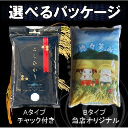 【新米】令和2年産/1等米 南会津産こしひかり白米 5kg♪ 【特A産地】【送料無料】 ☆有名米どころ会津の一等米！【産地直送福島県産南会津米】【smtb-TD】【tohoku】【RCP】【楽ギフ_のし】【楽ギフ_のし宛書】【あす楽対応】