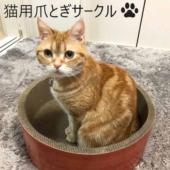 猫用爪とぎ サークル 段ボール製 爪とぎ 爪みがき デザイン 紙製 猫用 爪研ぎ 爪磨き ねこ ネコ ガリガリ バリバリ段ボール つめとぎのサムネイル