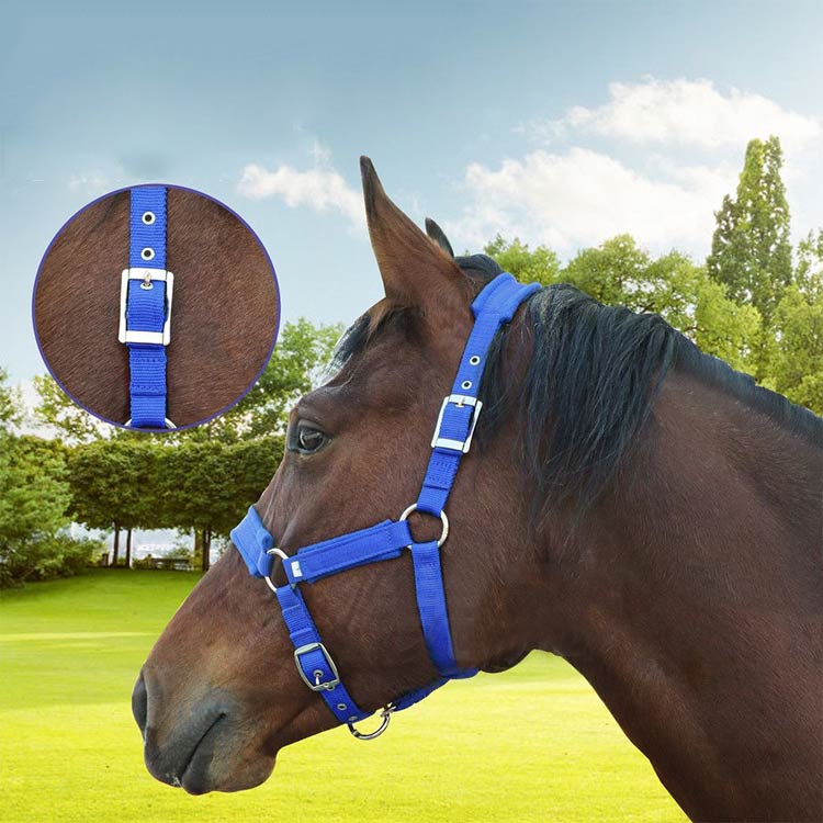 微笑みshop楽天市場店の無口 馬 馬 エレガント 乗馬用馬具ホルター 乗馬用 頭絡 乗馬用馬具 乗馬 馬具 乗馬用 馬用 ホルター 乗馬 ホルター 頭絡 馬具 ホルター 馬用 乗馬 無口 乗馬用品｜アングル2