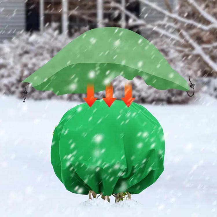 �ɴ����С� ���� ��ʪ���С� ľ��2.4m ����ɳ�դ� ���� ���� ȭ���� ���� ���� ����ɳ�դ� �� �ĥ꡼����ɻߥ��С� �����Ѳ�ǽ �ե����� �֥�󥱥å� �����ȥɥ� �����ǥ˥� ���к� ��ʪ�ݲ� �Կ���