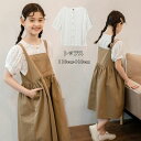 韓国子供服 夏服 おしゃれ シャツブラウス レース 半袖 女の子 トップス シャツブラウス ホワイト 発表会 受験用 記念日 イベント 誕生日 夏着 小学生 通学着 シャツ 純綿 ブラウス 人気 110cm 120cm 130cm 140cm 150cm 160cm