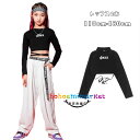 ダンス 衣装 トップス Tシャツ チア へそ出し 団体服 応援団 舞台 おしゃれ 女の子 ダンスウェア ブラック Tシャツ 長袖 丸首 ジャズダンス 体育祭 文化祭 学園祭 ファッション キッズ ヒップホップ ステージ衣装 HIPHOP 110cm 120cm 130cm 140cm 150cm 160cm 170cm 180cm